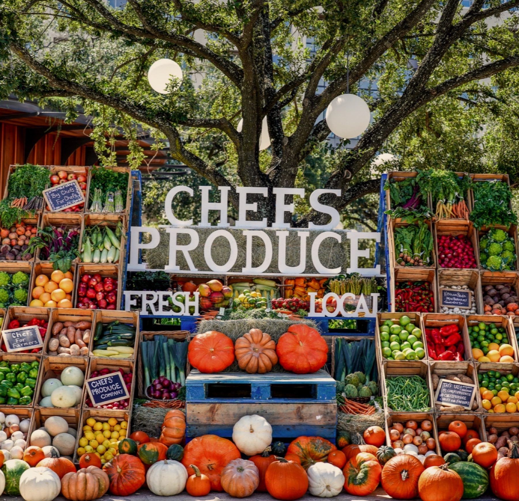 Chefs For Farmers project photo